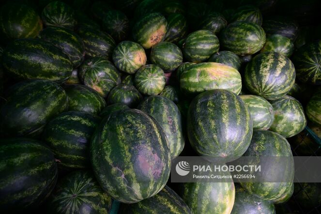 Арбузы на бахчевом развале на Севастопольском проспекте в Москве. Место: Россия, Москва. Автор: Рамиль Ситдиков/РИА Новости. Торговля арбузами и дынями в Москве