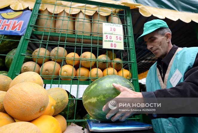Торговля арбузами и дынями в Москве