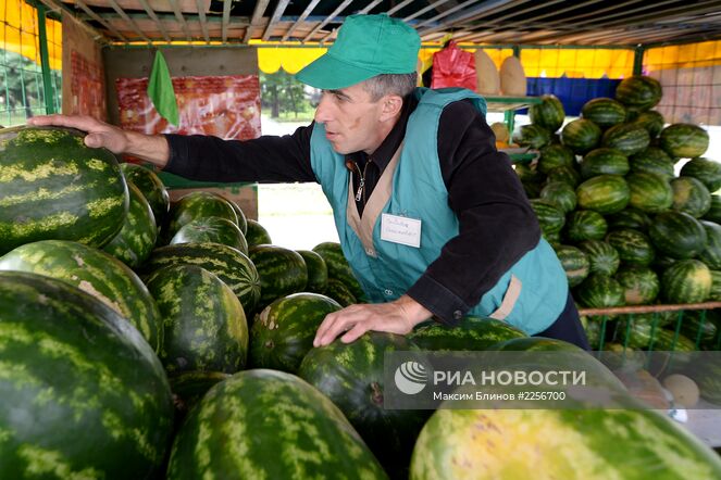 Торговля арбузами и дынями в Москве