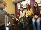 Кот-кафе "Республика кошек" в Санкт-Петербурге