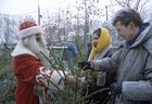 Дед Мороз продает елку