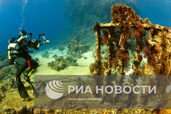 Зарубежные страны: Египет