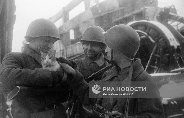 Сталинградская битва