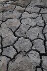 Засуха в Челябинской области