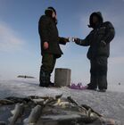 Зимняя рыбалка в Амурском заливе