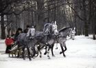 Праздник "Проводы русской зимы". Место: Россия, Москва. Автор: Юрий Сомов/РИА Новости. Праздник "Проводы русской зимы"