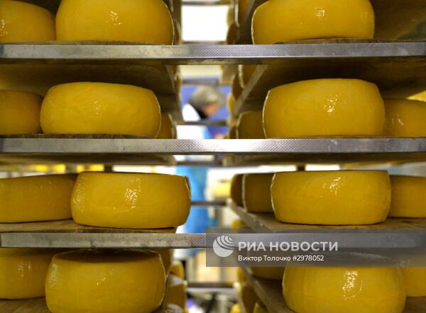 Фермерское хозяйство "Дак" в Белоруссии