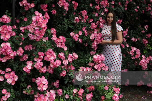 Открытие выставок "Розовый вальс" и "Динозавры в Крыму" в Никитском ботаническом саду