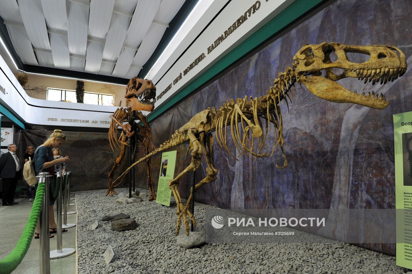 Открытие выставок "Розовый вальс" и "Динозавры в Крыму" в Никитском ботаническом саду