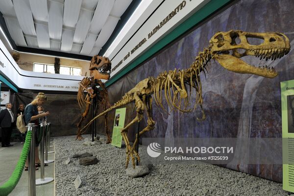 Открытие выставок "Розовый вальс" и "Динозавры в Крыму" в Никитском ботаническом саду
