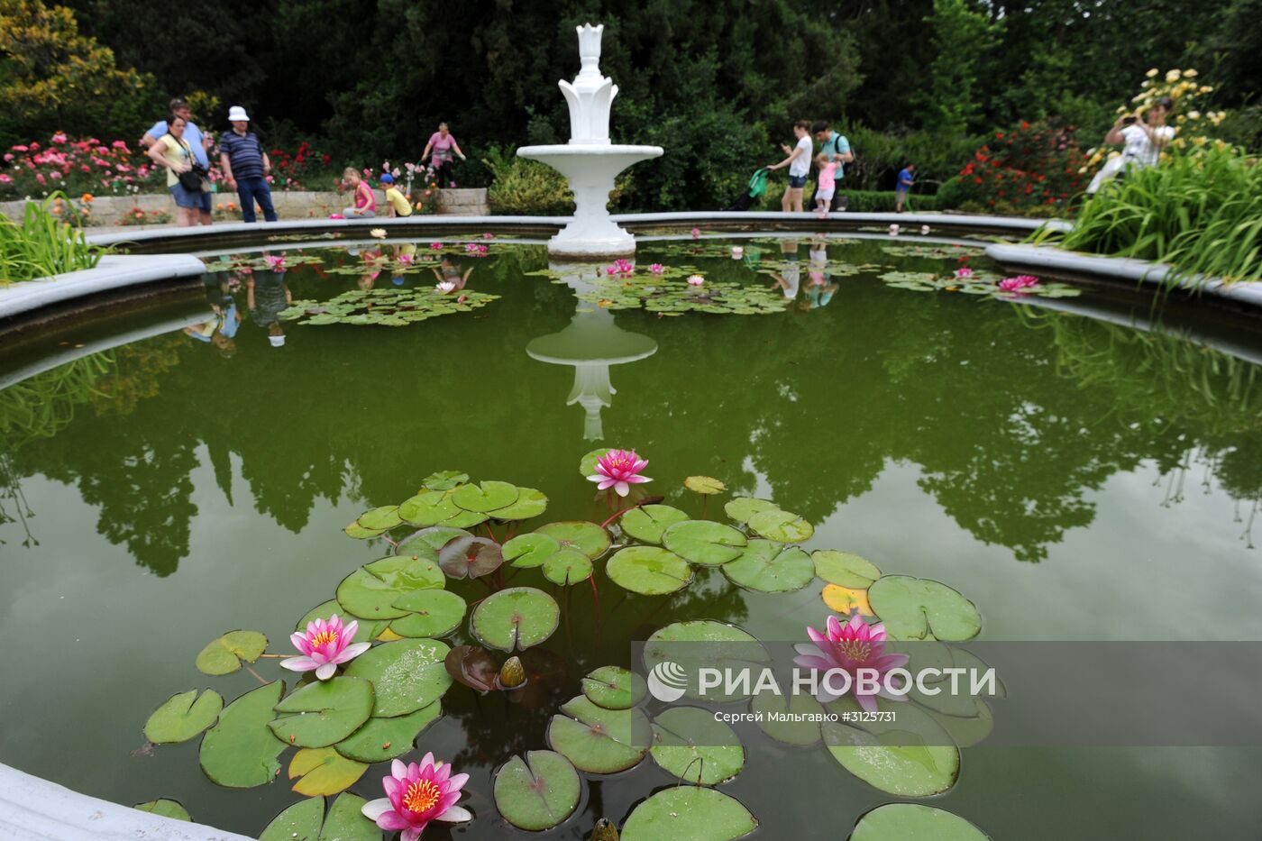 Открытие выставок "Розовый вальс" и "Динозавры в Крыму" в Никитском ботаническом саду