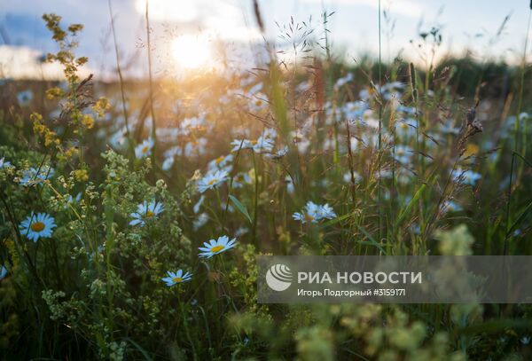 Регионы России. Рязанская область