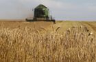 Уборка зерновых в Белоруссии