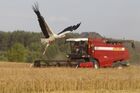 Уборка зерновых в Белоруссии
