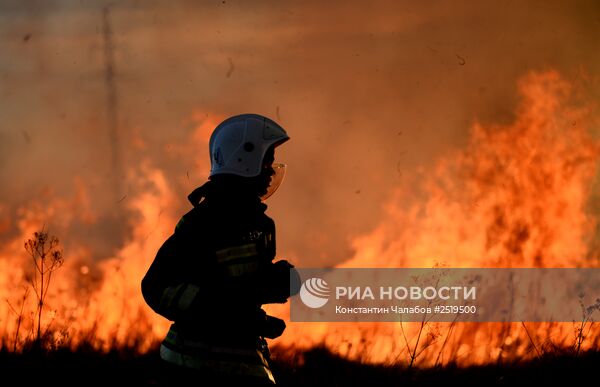 Природные пожары в Новгородской области