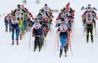 Спортсменки на дистанции скиатлона в соревнованиях по лыжным гонкам среди женщин на Х этапе Кубка мира по лыжным гонкам в Рыбинске. Место: Россия, Рыбинск. Автор: Евгений Биятов/РИА Новости. Лыжные гонки. Х этап Кубка мира. Женщины. Скиатлон