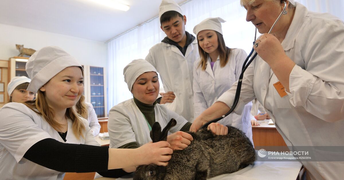 Санкт-Петербургский государственный университет …