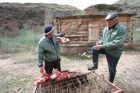 Снежные барсы в Киргизии