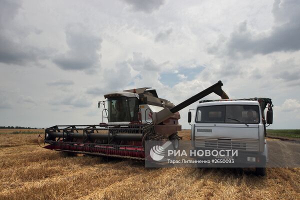 Уборка зерновых в Крыму