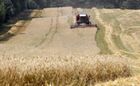 Уборка урожая зерновых в Белоруссии