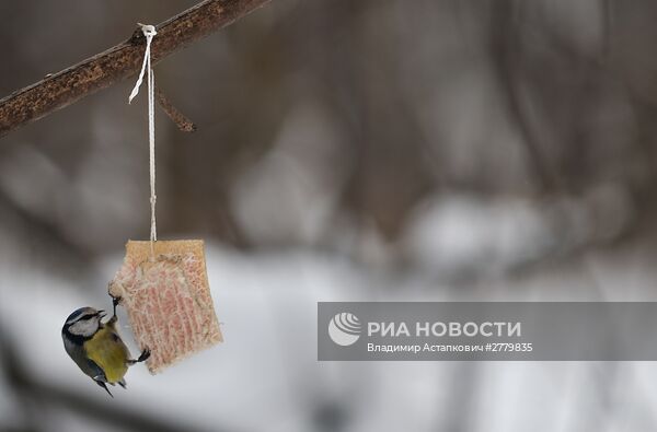 Повседневная жизнь