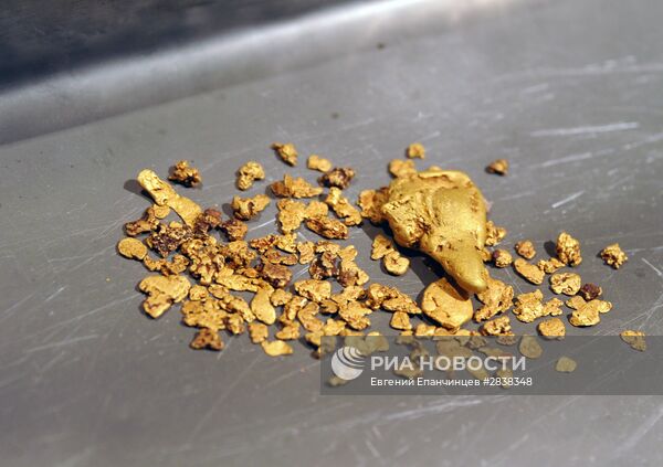 Добыча золота в Забайкальском крае