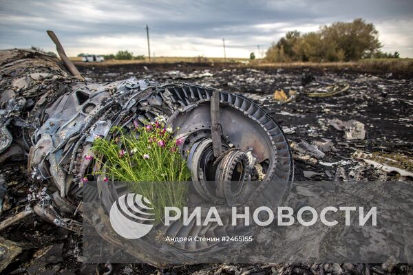 Сбор тел погибших на месте крушения малайзийского лайнера Boeing 777 в районе Шахтерска