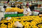 Россия вводит запрет на турецкие продукты