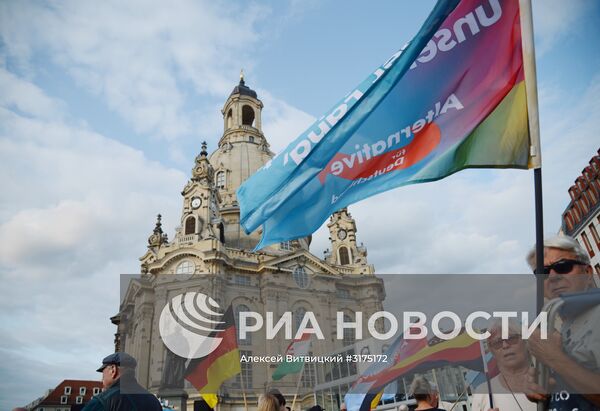 Акция партии "Альтернатива для Германии" против политики А.Меркель