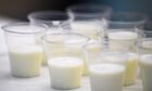 V Международный агропромышленный молочный форум. Первый день 