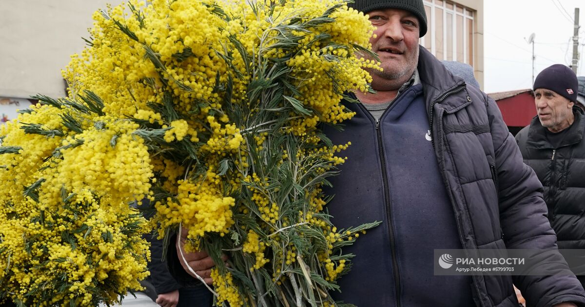 Мимоза в Сочи к 8 марта