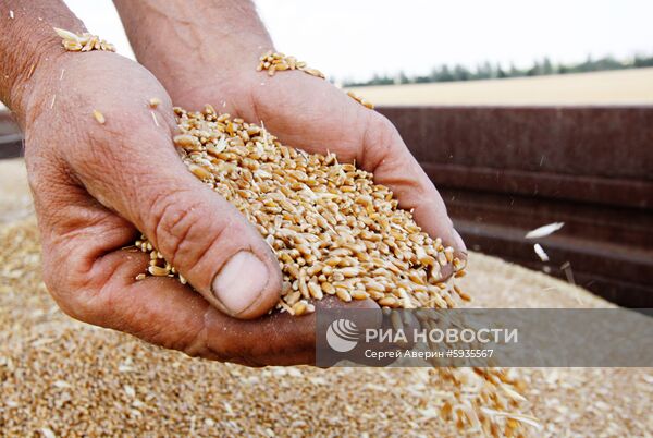 Уборка зерновых в Донецкой и Луганской областях
