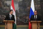 Встреча глав МИД РФ и Венгрии С. Лаврова и П. Сиярто