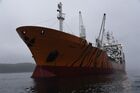 Транспортный рефрижератор "Симфония" в порту поселка Южно-Морской Приморского края. В рамках совместного проекта "Тигрофлот" Центра "Амурский тигр" и ГК "Доброфлот" корабль получил тигриную окраску, став первым подобным крупным судном в мире. Место: Россия, Приморский край. Автор: Виталий Аньков. Один из кораблей "Доброфлота" получил тигриную окраску