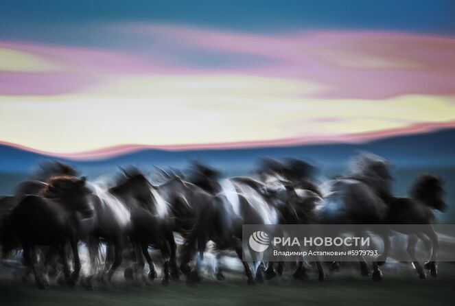 Страны мира. Монголия 
