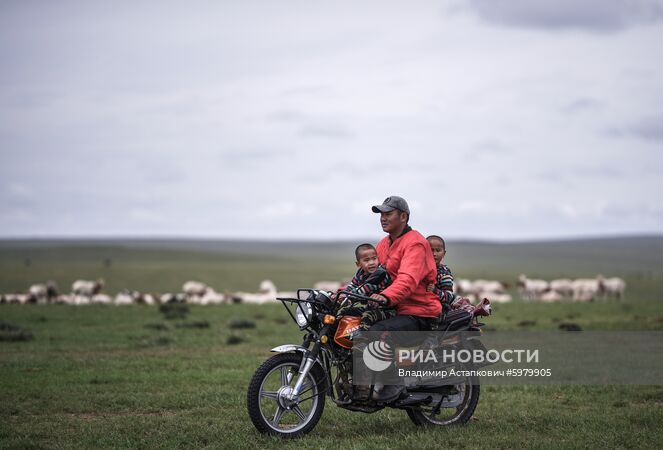 Семья кочевников в монгольской степи. Место: Монголия. Автор: Владимир Астапкович/РИА Новости. Страны мира. Монголия