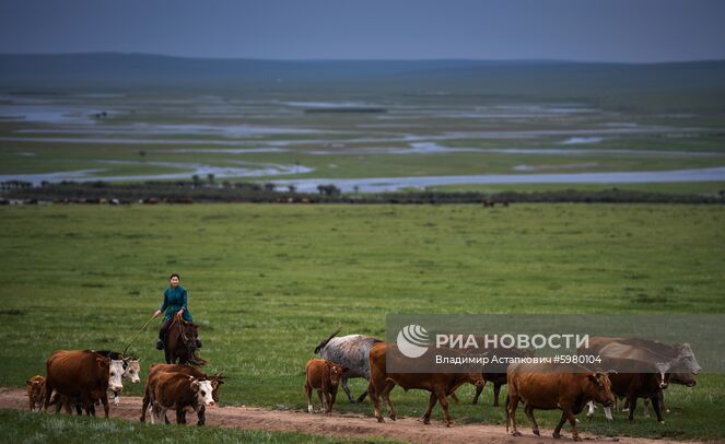 Страны мира. Монголия 