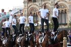 Выступление Кремлевской школы верховой езды на Красной площади в Москве. Место: Россия, Москва. Автор: Евгений Биятов/РИА Новости. Выступление Кремлевской школы верховой езды