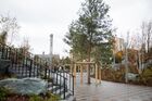 Сквер "Парк ангелов", построенный в память о погибших в пожаре в торгово-развлекательном центре "Зимняя вишня", в Кемерово. Пожар в четырехэтажном торговом центре "Зимняя вишня" в Кемерово произошел 25 марта 2018 года. В результате пожара погибли 60 человек, большинство из них дети. В память о погибших в парке высадили 60 сосен. Место: Россия, Кемерово. Автор: Георгий Шишкин/РИА Новости. "Парк ангелов" на месте сгоревшей "Зимней вишни" в Кемерово