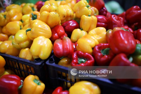 Агропромышленная выставка "Кубанская Ярмарка"