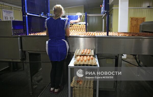 Птицефабрика "Волжская" в Волгоградской области