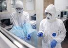 Лаборатория "Инвитро" начала тестирование на коронавирусную инфекцию 
