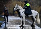 Сотрудники конной полиции разговаривают с велосипедистом во время патрулирования парка Покровское-Стрешнево в Москве. Место: Россия, Москва. Автор: Алексей Майшев. Патрулирование конной полицией улиц в Москве