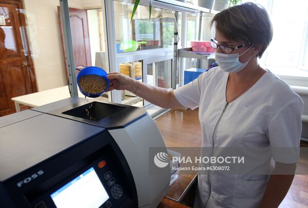 Волгоградские аграрии увеличивают отгрузку зерна на экспорт