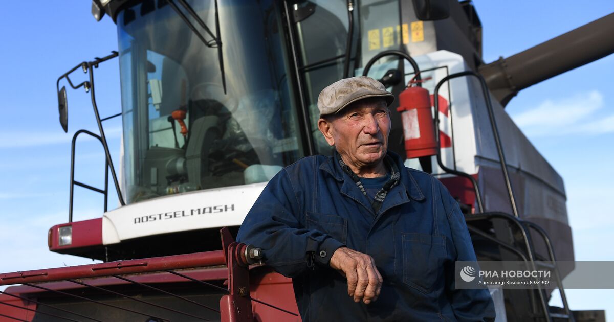 Погода в шалапе целинном районе