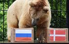 Предсказание животными-оракулами результатов матча между Россией и Данией на чемпионате Европы