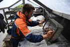 Сотрудник Института археологии и этнографии Сибирского отделения РАН промывает грунт, полученный на раскопках в Денисовой пещере в Алтайском крае. Денисова пещера расположена на Алтае на юге Сибири и известна открытием денисовцев (Homo denisovensis) – вымершей формы архаичных людей, которые, как считается, когда-то населяли значительную часть Центральной и Восточной Азии. Место: Россия, Алтайский край. Автор: Александр Кряжев. Археологический памятник "Денисова пещера" в Алтайском крае