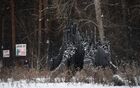 Арт-объект "Призрак леса" в Екатеринбурге