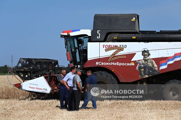 Уборка урожая пшеницы на юге России