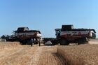 Комбайны собирают урожай пшеницы в Ростовской области. В южных регионах России стартовал сбор пшеницы. Место: Россия, Ростовская область. Автор: Сергей Пивоваров/РИА Новости. Уборка урожая пшеницы на юге России